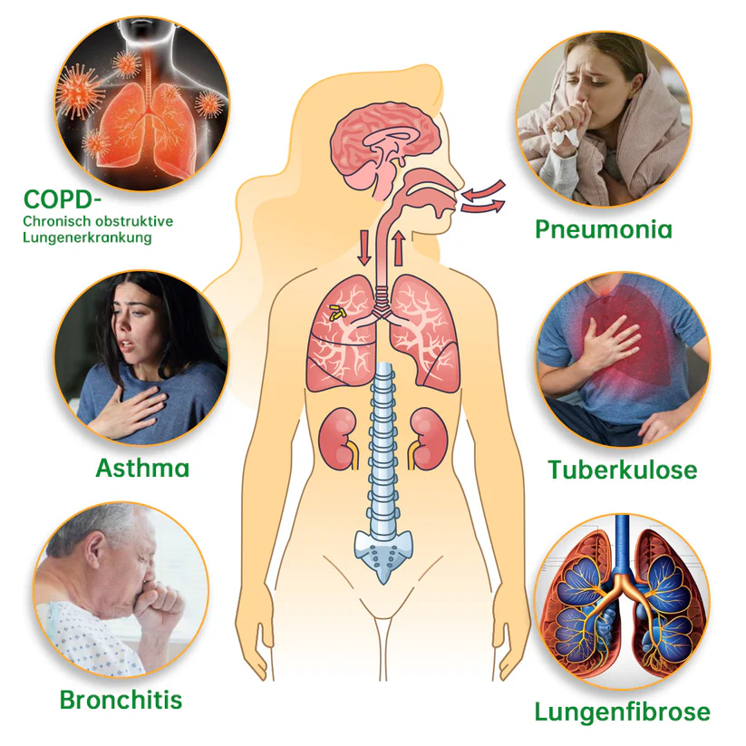 Lungenpflege-Inhalator | Sicherer und effektiver Weg zur Entgiftung der Lunge