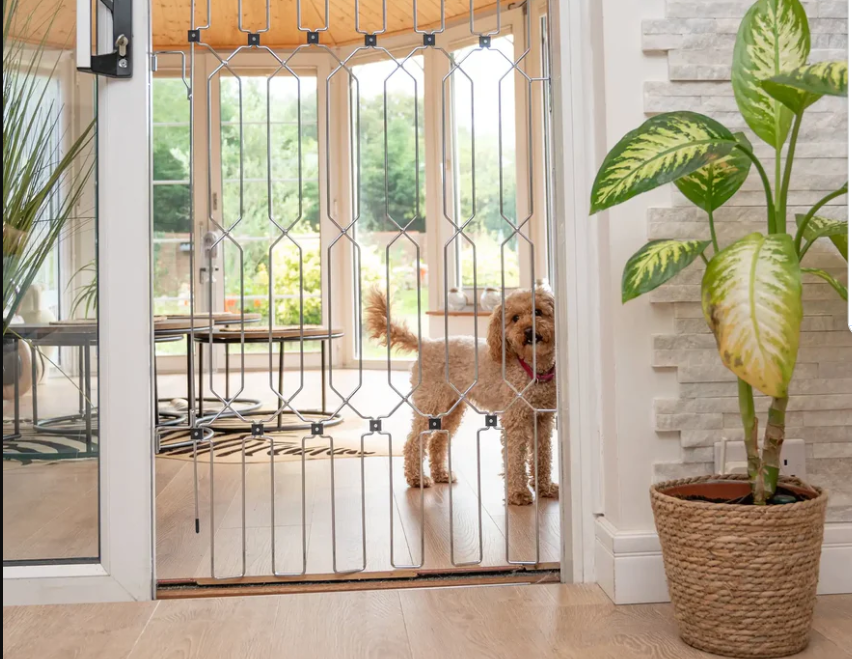 Hundeschutzgitter | Schützen Sie Ihren Hund und bewahren Sie einen ruhigen Geist