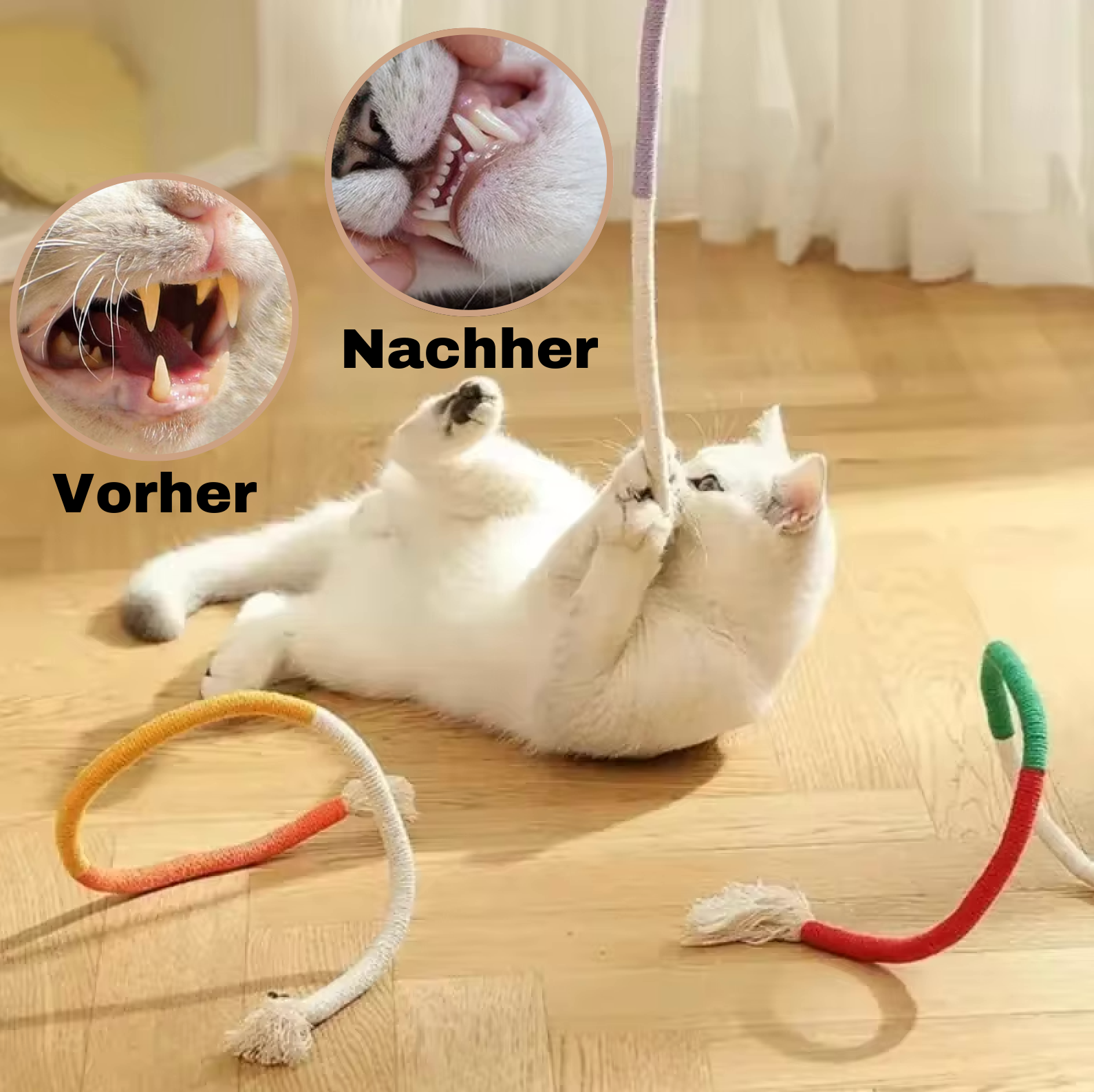 Zahnpflegespielzeug für Katzen