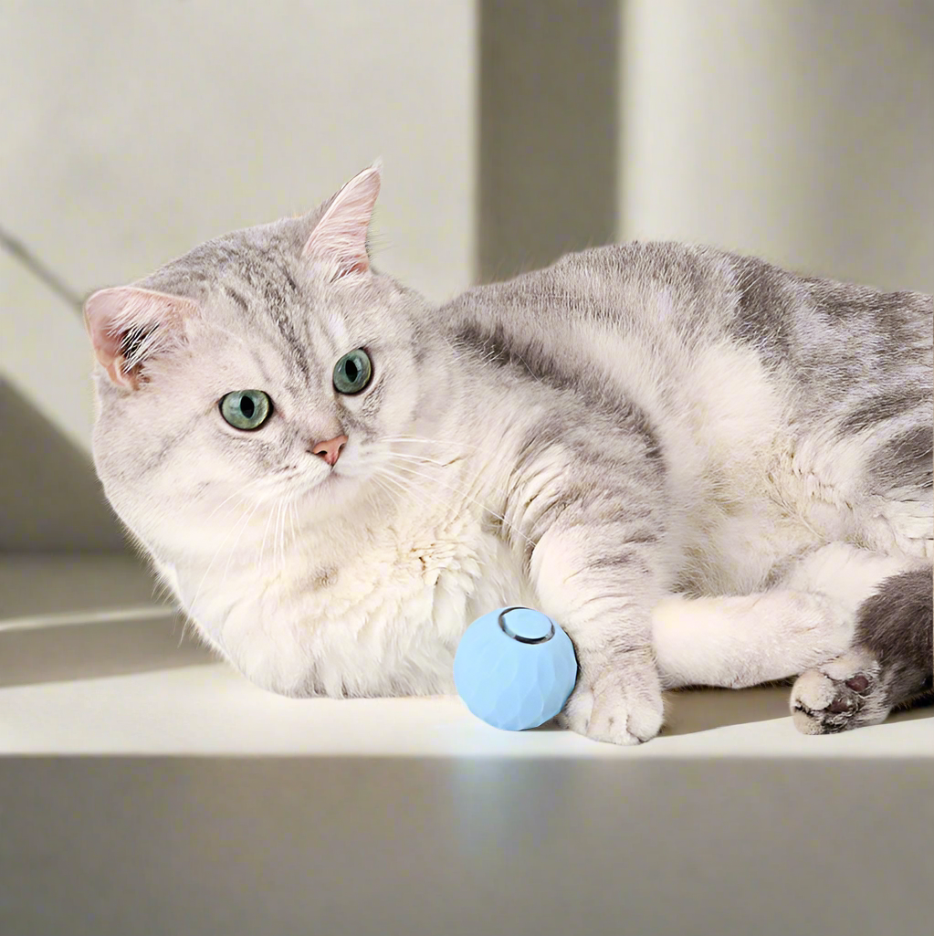 Interaktives Katzenspielzeug | Halten Sie Ihre Katze aktiv und glücklich - 1 + 1 Gratis!