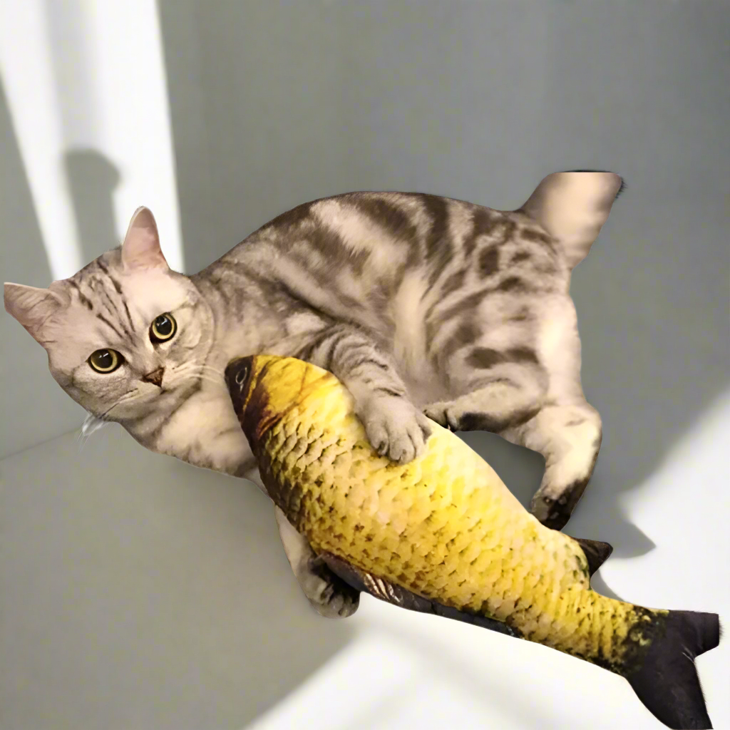Interaktives Fisch-Katzenspielzeug | Kau- und Kratzspaß - 1 + 1 Gratis!
