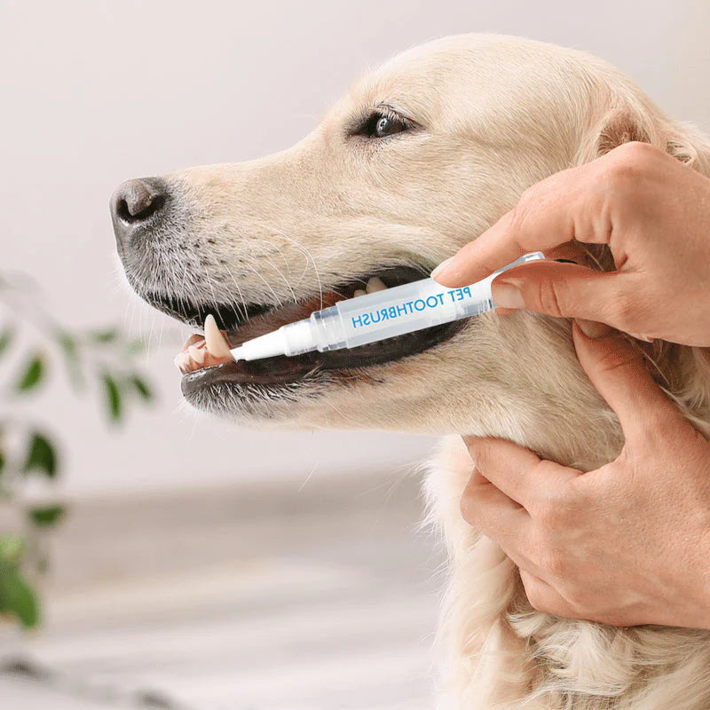 Zahnpflegestift für Haustiere | Schnelle und Einfache Mundhygiene - 1 + 1 Gratis!