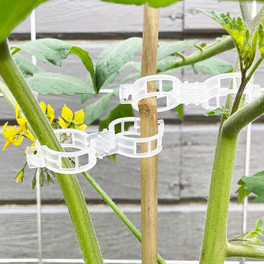 Tomate Stützklammern | Fördern Sie das Wachstum und die Stabilität Ihrer Pflanzen!