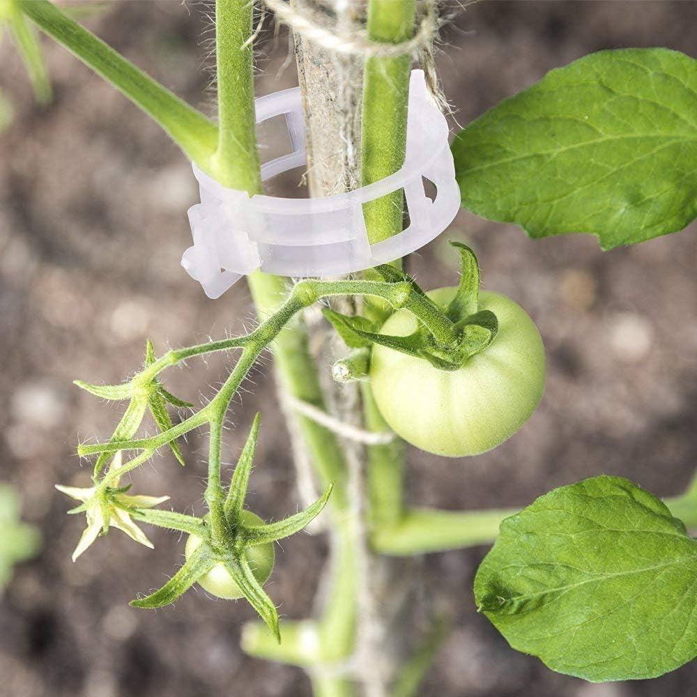 Tomate Stützklammern | Fördern Sie das Wachstum und die Stabilität Ihrer Pflanzen!