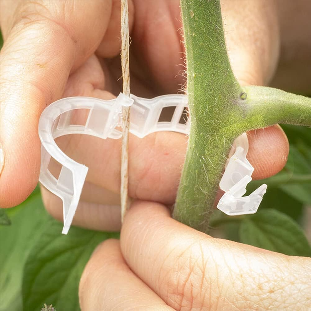 Tomate Stützklammern | Fördern Sie das Wachstum und die Stabilität Ihrer Pflanzen!