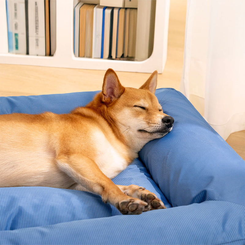 Orthopädisches Wasserdichtes Hundebett | Sicherer, beruhigender Schlaf für Ihren Hund
