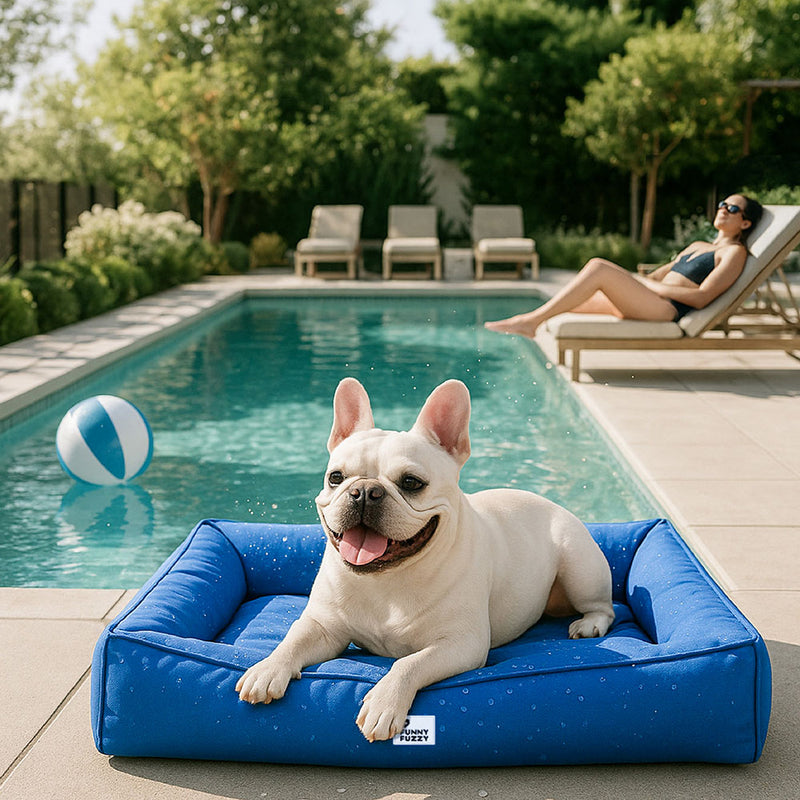 Orthopädisches Wasserdichtes Hundebett | Sicherer, beruhigender Schlaf für Ihren Hund