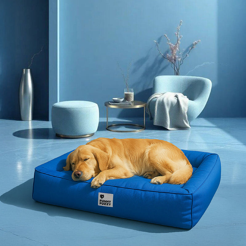 Orthopädisches Wasserdichtes Hundebett | Sicherer, beruhigender Schlaf für Ihren Hund