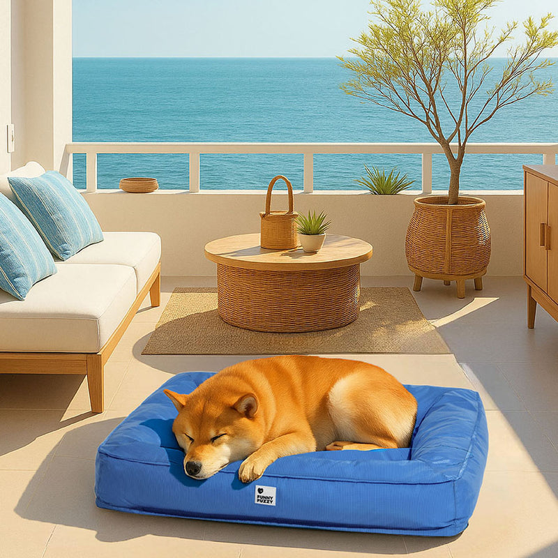 Orthopädisches Wasserdichtes Hundebett | Sicherer, beruhigender Schlaf für Ihren Hund