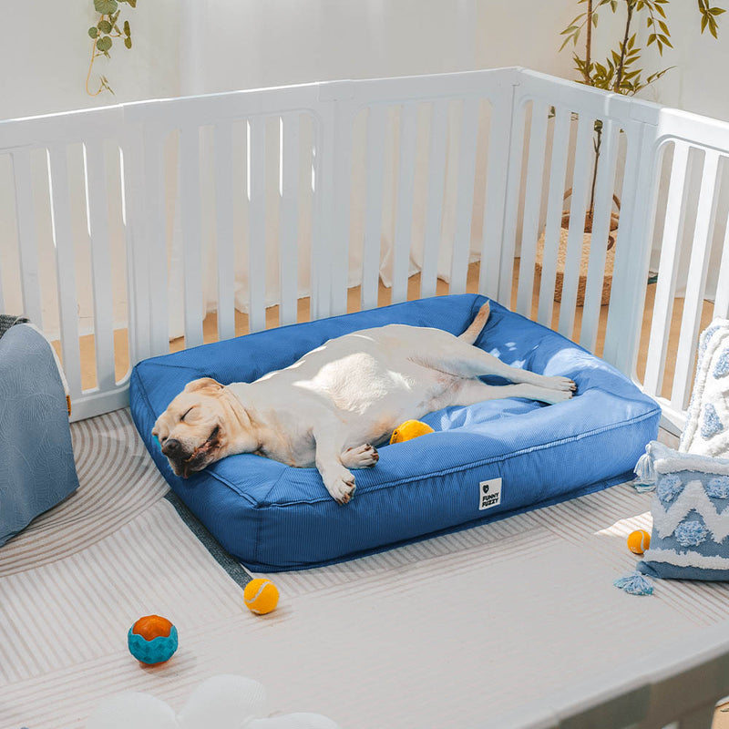 Orthopädisches Wasserdichtes Hundebett | Sicherer, beruhigender Schlaf für Ihren Hund