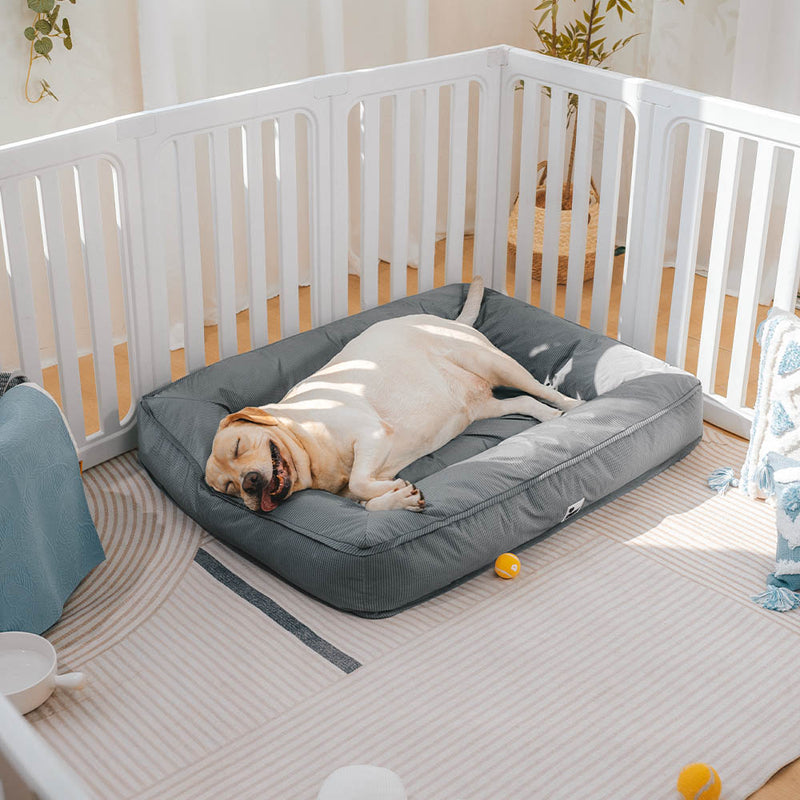 Orthopädisches Wasserdichtes Hundebett | Sicherer, beruhigender Schlaf für Ihren Hund