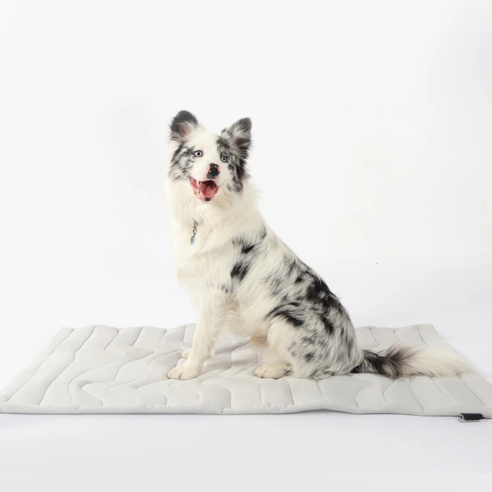 Kühlmatte für Hunde | Chilliger Komfort den ganzen Tag lang