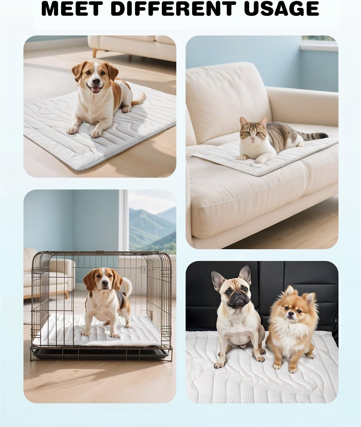 Kühlmatte für Hunde | Chilliger Komfort den ganzen Tag lang