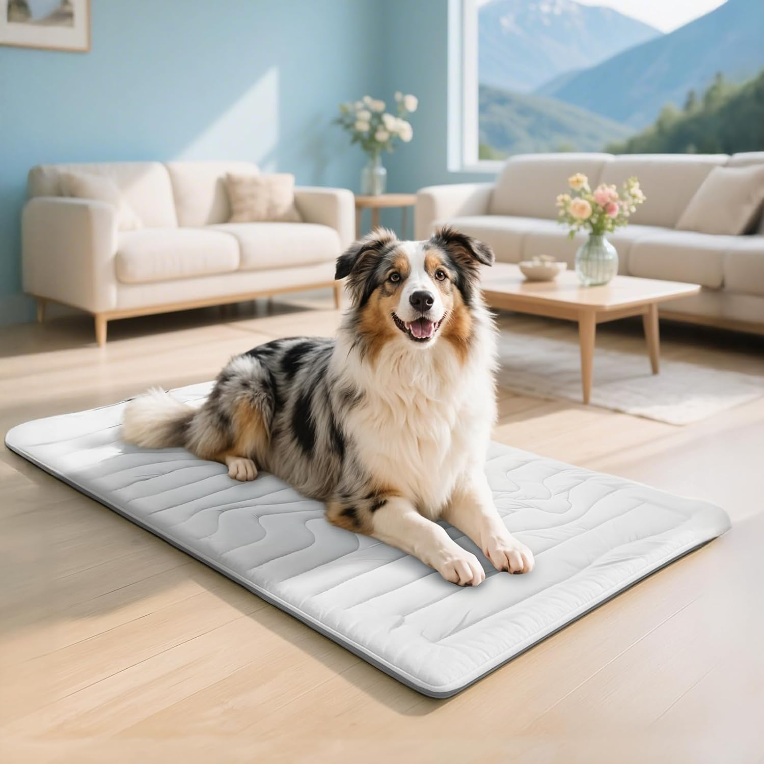 Kühlmatte für Hunde | Chilliger Komfort den ganzen Tag lang
