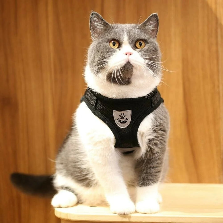 Verstellbares Katzengeschirr | Sicher, Bequem, Ausbruchsicher - 1 + 1 GRATIS
