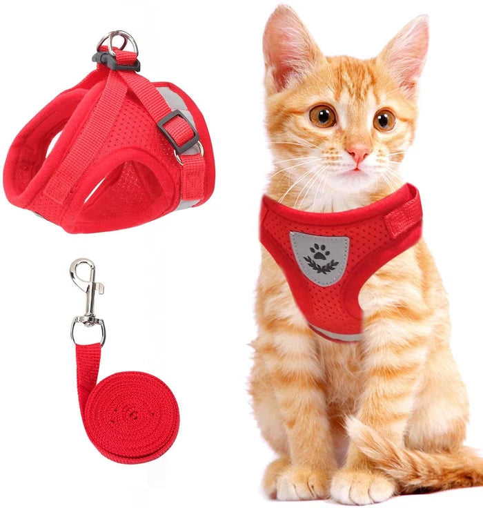 Verstellbares Katzengeschirr | Sicher, Bequem, Ausbruchsicher - 1 + 1 GRATIS