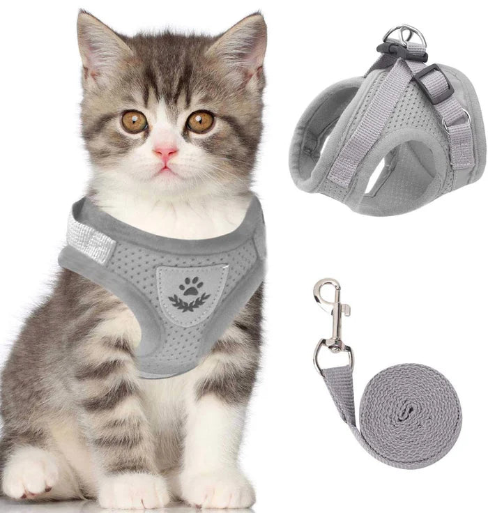 Verstellbares Katzengeschirr | Sicher, Bequem, Ausbruchsicher - 1 + 1 GRATIS