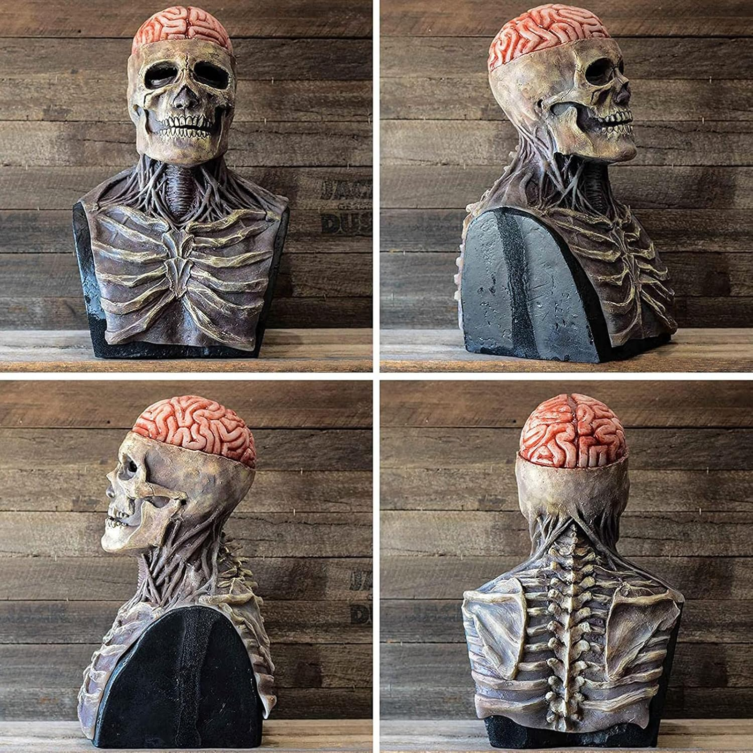 Zolara Skelett Maske für Halloween