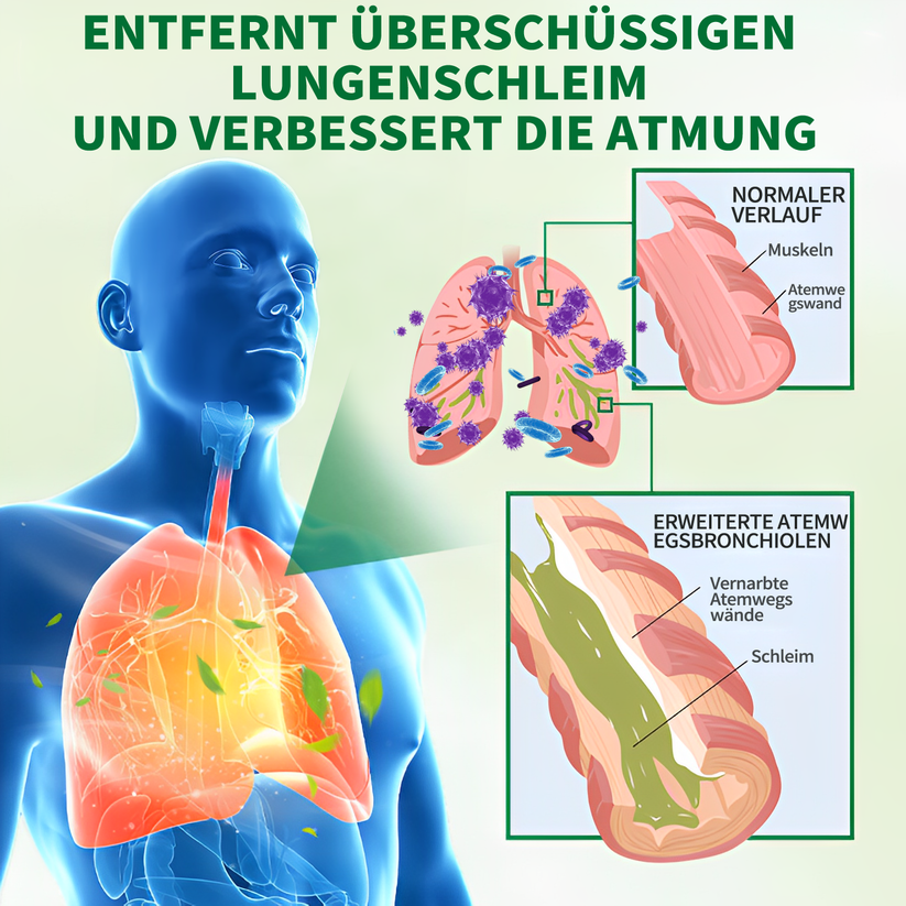 Lungenpflege-Inhalator | Sicherer und effektiver Weg zur Entgiftung der Lunge